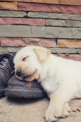 Similar image 9238749