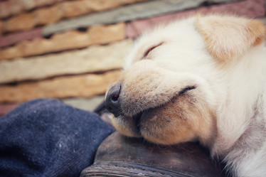 Similar image 9238751