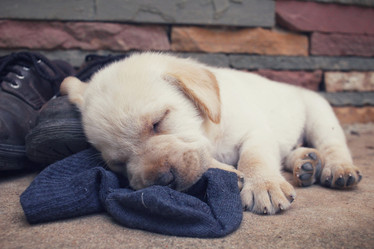 Similar image 9238754