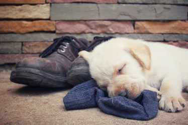 Similar image 9238756