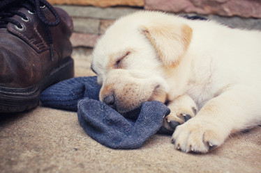 Similar image 9238758