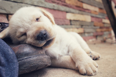 Similar image 9238761