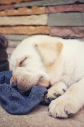 Similar image 9238763