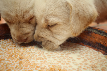 Similar image 9238767