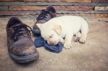 Similar image 9238770