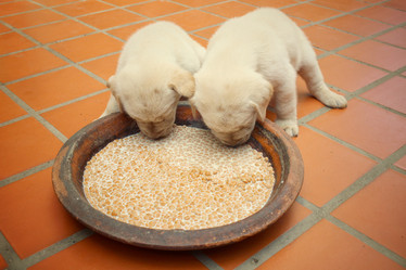 Similar image 9238774