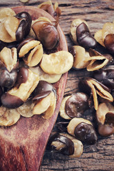 Similar image 9238778