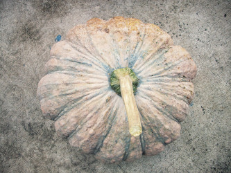 Similar image 9238815