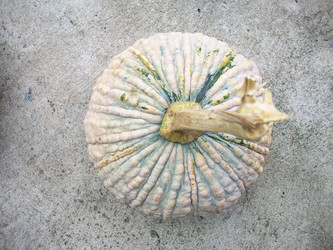 Similar image 9238817