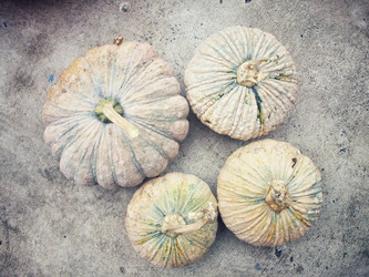 Similar image 9238819