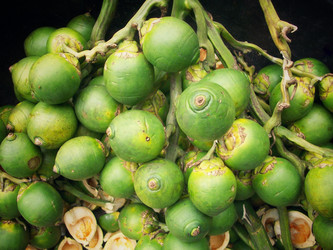 Similar image 9238822