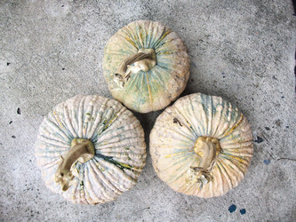 Similar image 9238824