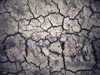 Similar image 9238826