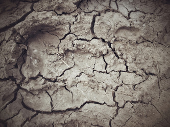 Similar image 9238837