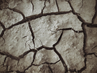 Similar image 9238839