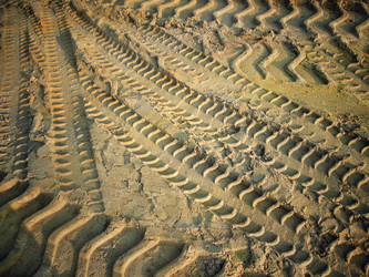 Similar image 9238923