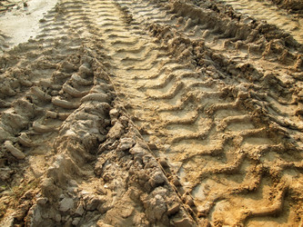 Similar image 9238931