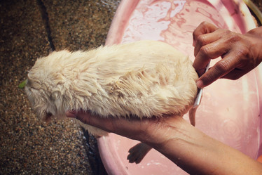 Similar image 9238933