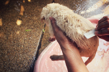 Similar image 9238935