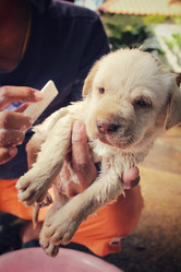 Similar image 9238937