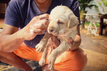 Similar image 9238940