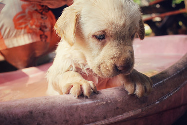 Similar image 9238941