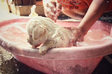 Similar image 9238944