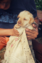 Similar image 9238945