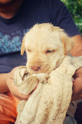 Similar image 9238948