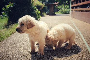 Similar image 9238950