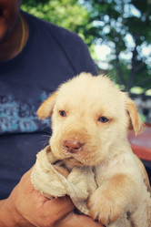 Similar image 9238952