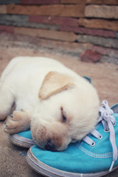 Similar image 9238954