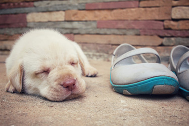 Similar image 9238956