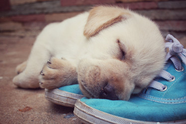 Similar image 9238958