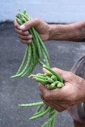 Similar image 9239079