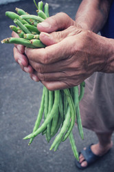 Similar image 9239082