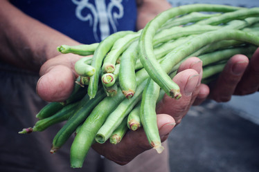 Similar image 9239094