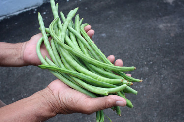 Similar image 9239097