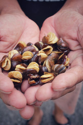 Similar image 9239099