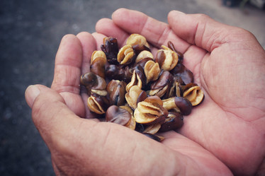 Similar image 9239103