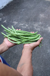 Similar image 9239113