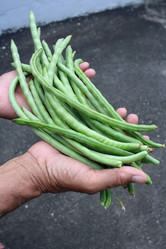 Similar image 9239117