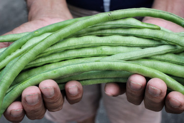 Similar image 9239119