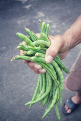 Similar image 9239133