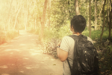 Similar image 9239438