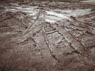 Similar image 9239656