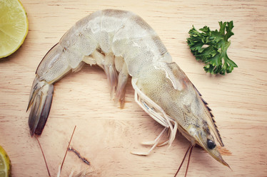 Similar image 9239815