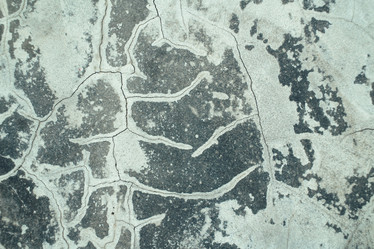 Similar image 9239877