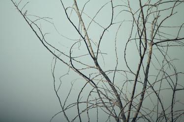 Similar image 9239987