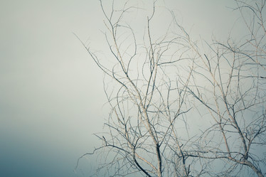 Similar image 9239991